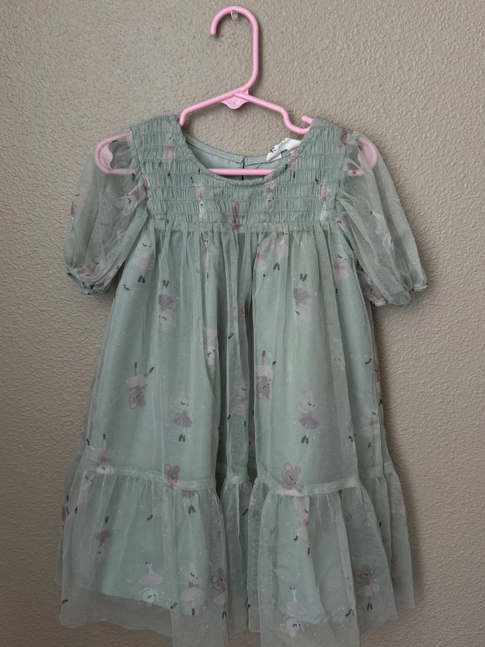 H&M Sage Green Tulle Dress with Ballerina Print